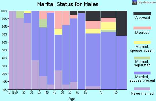 Zip code 30683 marital status for males