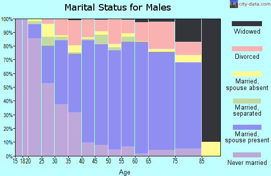 Zip code 30701 marital status for males