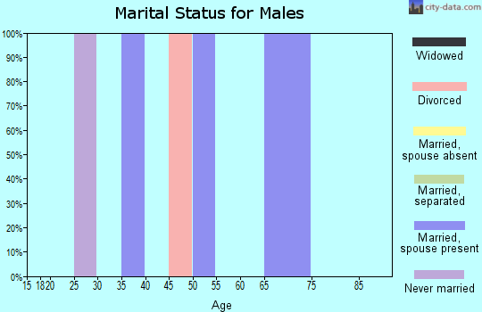 Zip code 30708 marital status for males