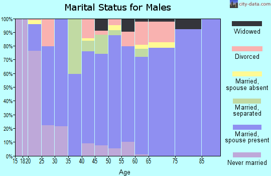 Zip code 30710 marital status for males