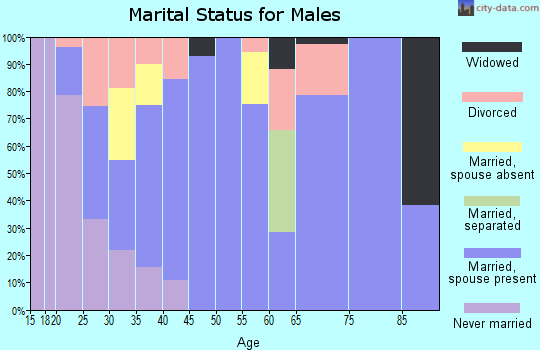 Zip code 30711 marital status for males