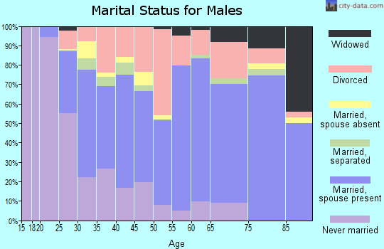 Zip code 30720 marital status for males