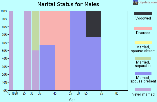 Zip code 30724 marital status for males