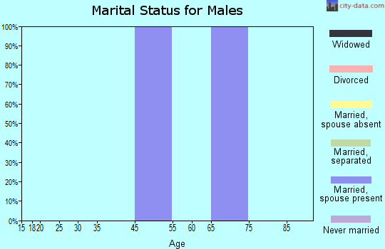 Zip code 30726 marital status for males