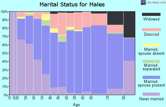 Zip code 30728 marital status for males