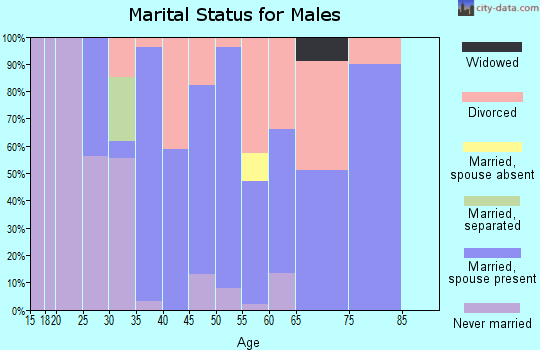 Zip code 30731 marital status for males