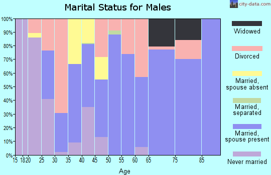 Zip code 30735 marital status for males