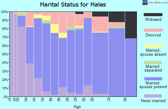 Zip code 30736 marital status for males