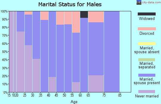 Zip code 30738 marital status for males
