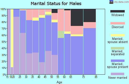 Zip code 30739 marital status for males