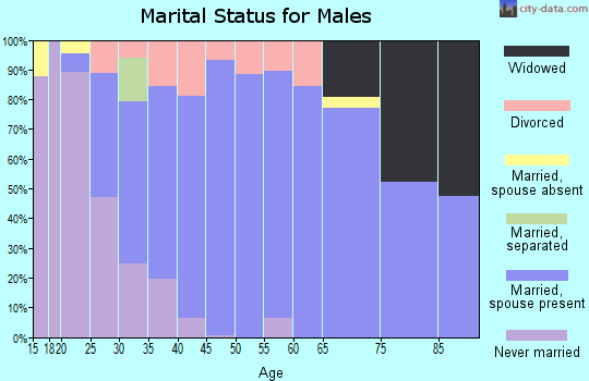 Zip code 30740 marital status for males