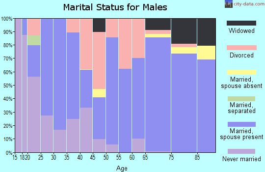 Zip code 30742 marital status for males