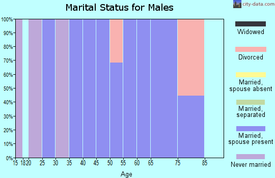 Zip code 30746 marital status for males