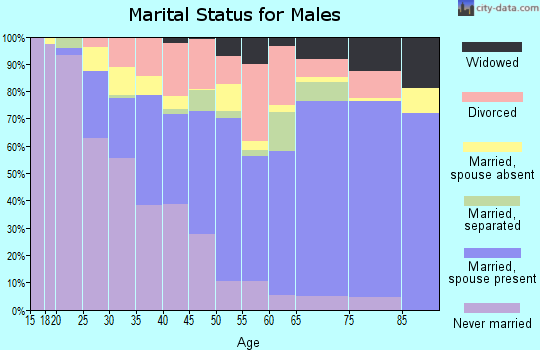 Zip code 30747 marital status for males