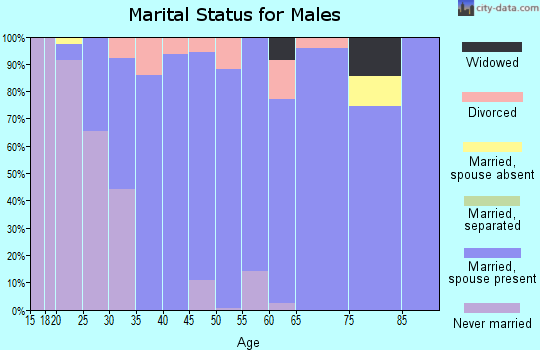 Zip code 30750 marital status for males