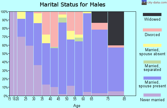 Zip code 30753 marital status for males