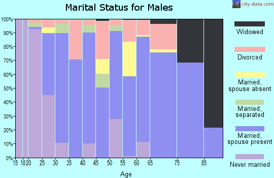 Zip code 30755 marital status for males