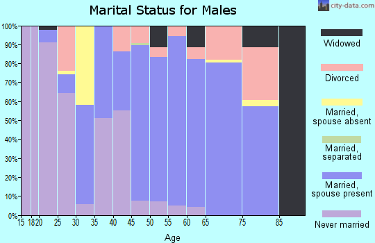 Zip code 30802 marital status for males