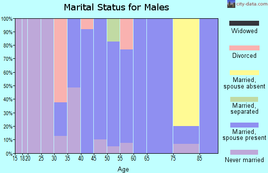 Zip code 30803 marital status for males