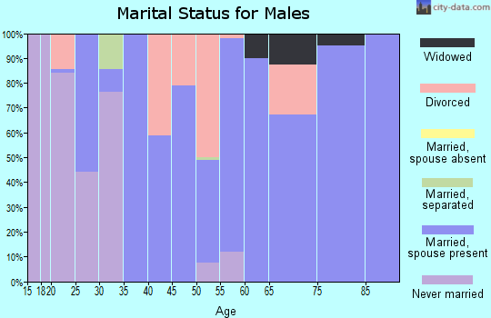 Zip code 30805 marital status for males