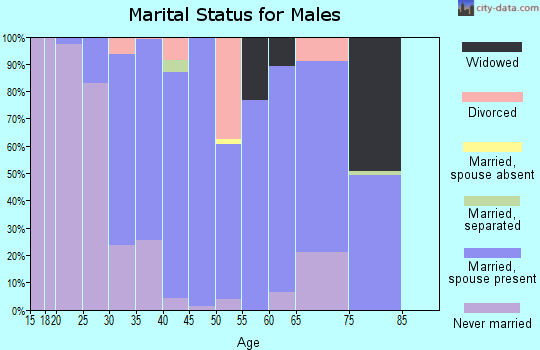 Zip code 30808 marital status for males