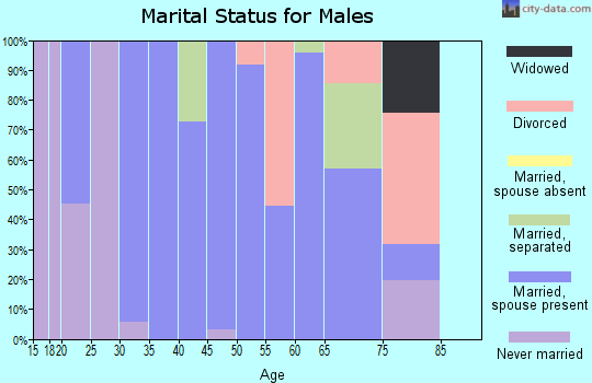 Zip code 30820 marital status for males