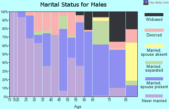 Zip code 30828 marital status for males