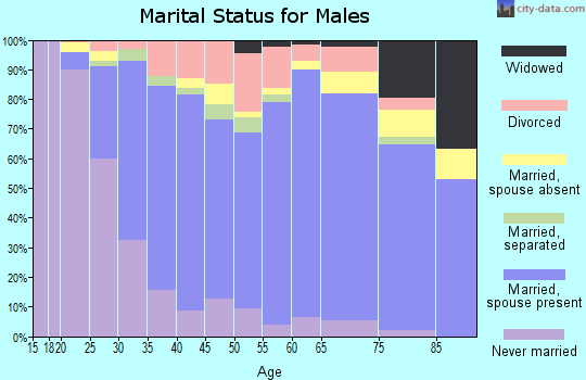 Zip code 30907 marital status for males
