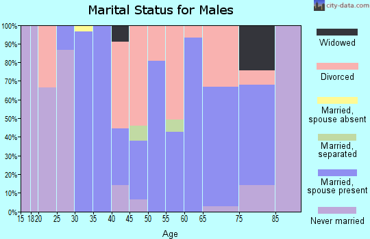 Zip code 31002 marital status for males