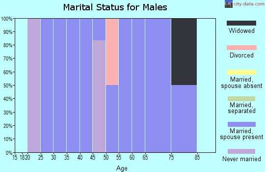 Zip code 31003 marital status for males