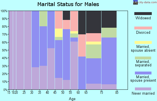 Zip code 31007 marital status for males