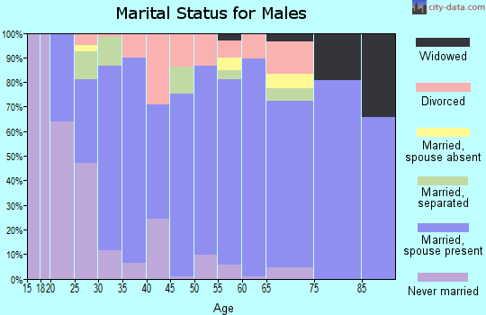 Zip code 31008 marital status for males