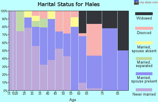 Zip code 31009 marital status for males
