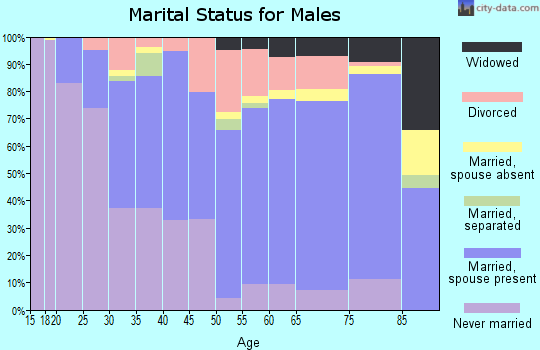 Zip code 31015 marital status for males