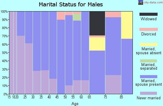 Zip code 31017 marital status for males
