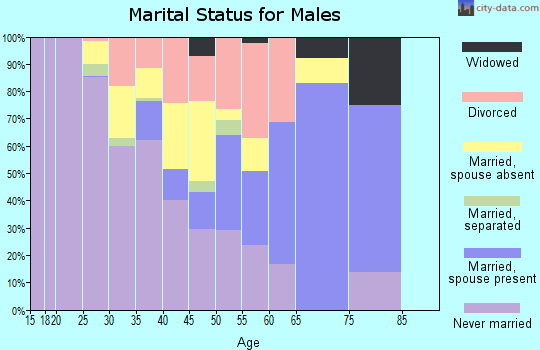 Zip code 31018 marital status for males