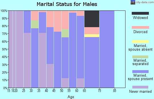Zip code 31019 marital status for males