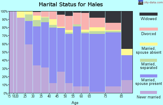 Zip code 31021 marital status for males
