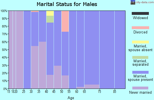 Zip code 31022 marital status for males