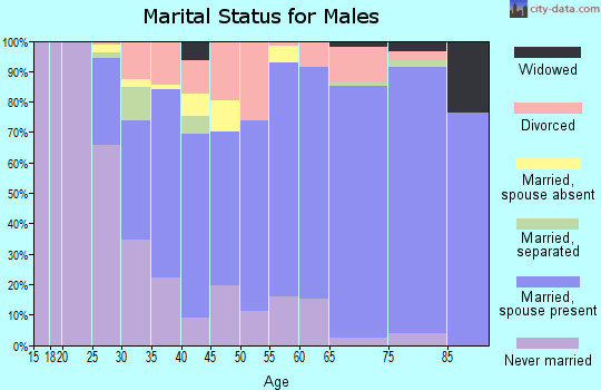 Zip code 31024 marital status for males