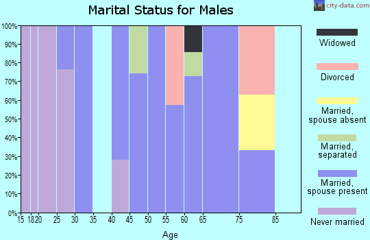Zip code 31025 marital status for males