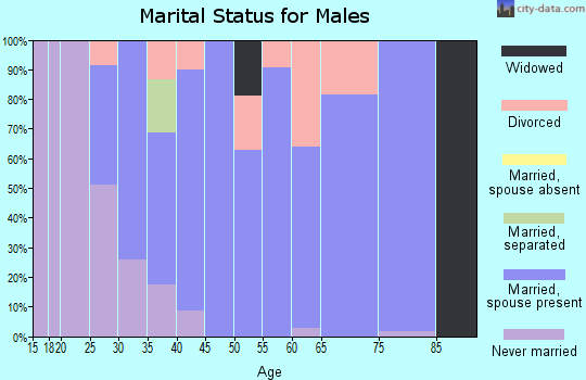 Zip code 31028 marital status for males