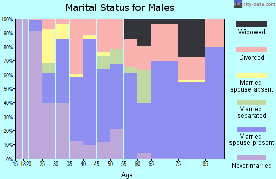 Zip code 31031 marital status for males