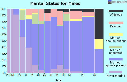 Zip code 31032 marital status for males