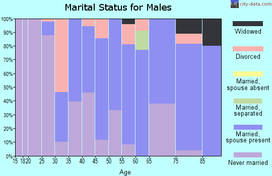 Zip code 31035 marital status for males