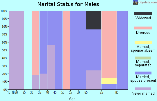 Zip code 31038 marital status for males