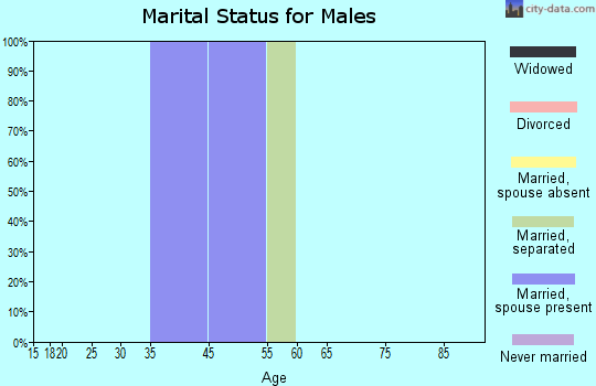 Zip code 31039 marital status for males