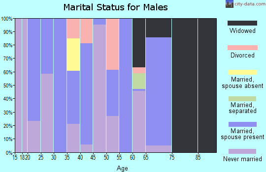 Zip code 31041 marital status for males