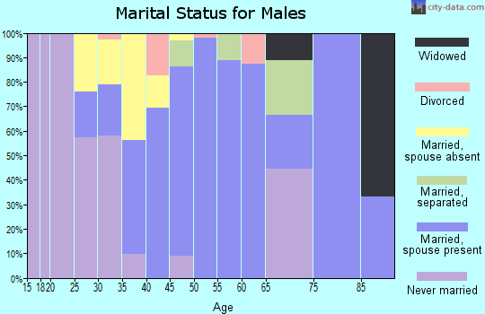 Zip code 31042 marital status for males