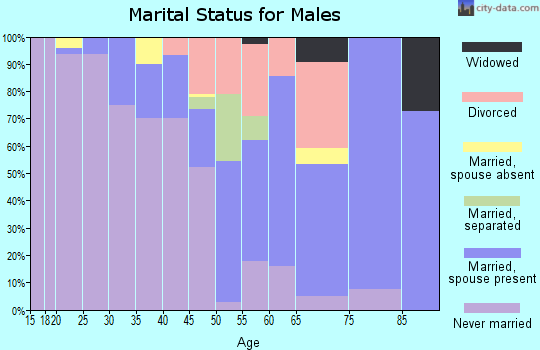 Zip code 31044 marital status for males